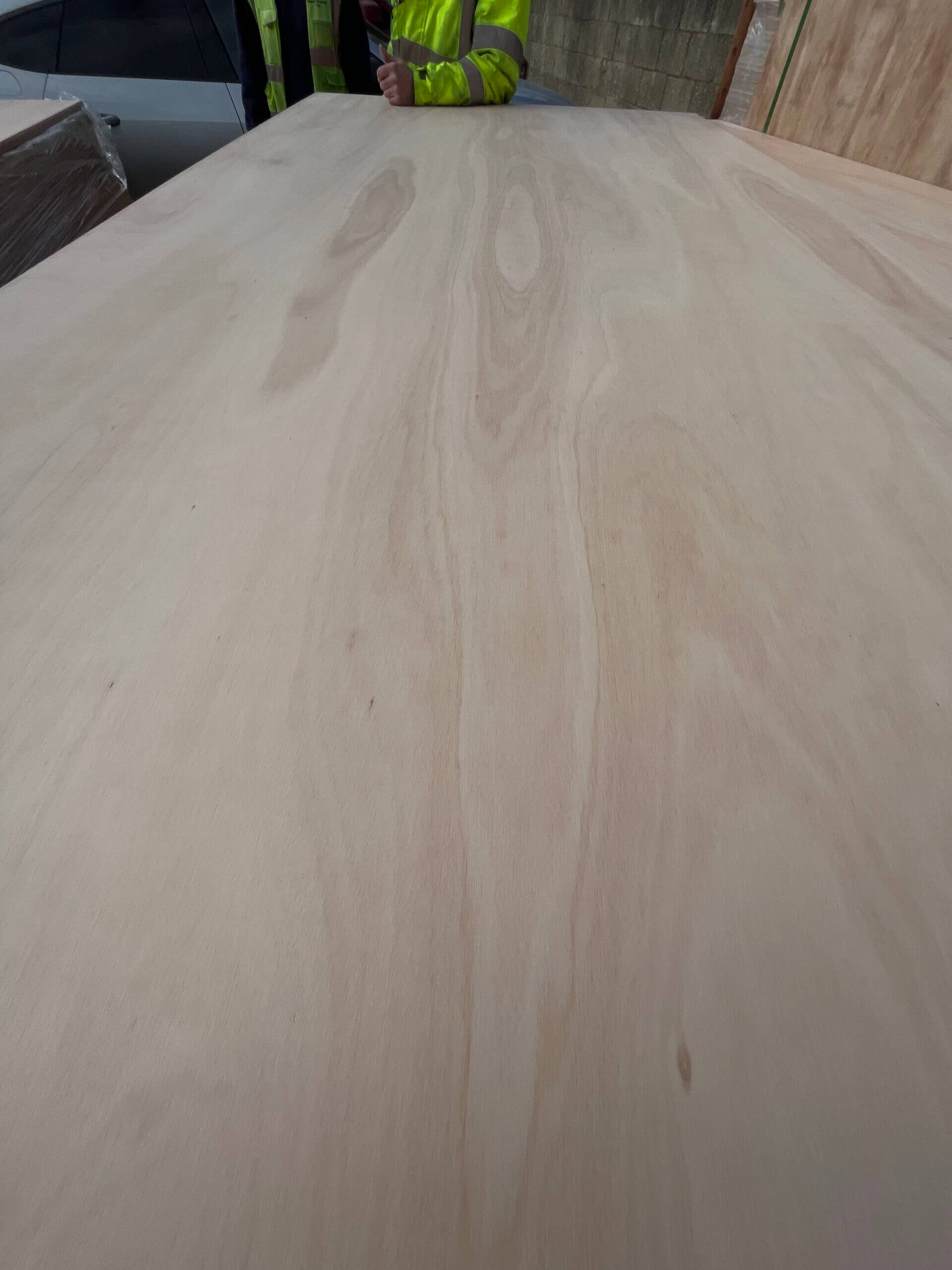 Eucalyptus Pro-Plywood